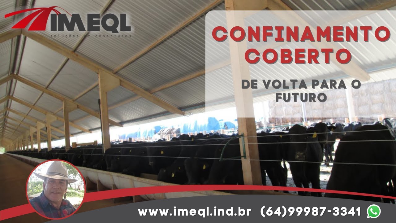 CONFINAMENTO COBERTO   DE VOLTA PARA O FUTURO.