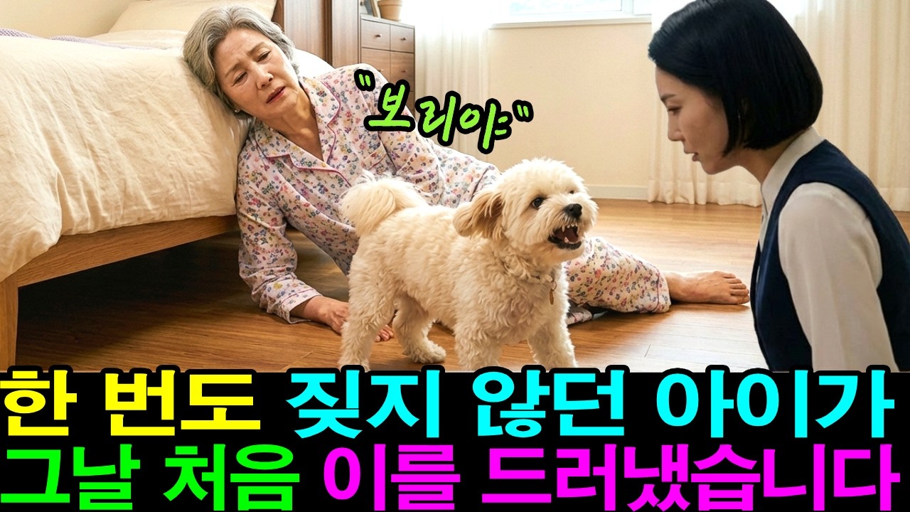 쓰러진 할머니를 지킨 건 사람이 아니라 3킬로짜리 강아지였습니다.ㅣ노후사연ㅣ감동사연ㅣ시니어드라마ㅣ오디오북 ㅣ사연라디오