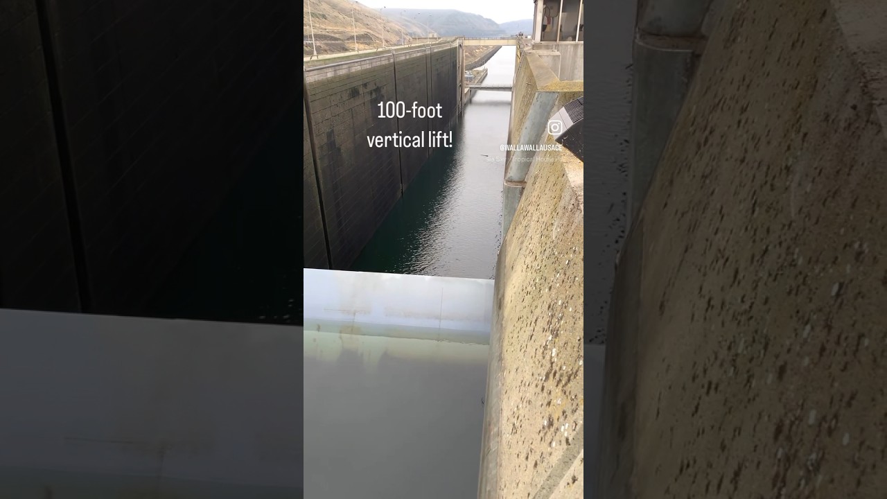 Little Goose navigation lock #dam #barging #rivernavigation #boating