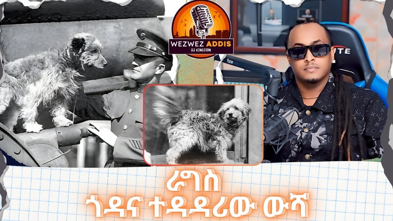 ራግስ ጎዳና ተዳዳሪው ውሻ | WezWez Addis