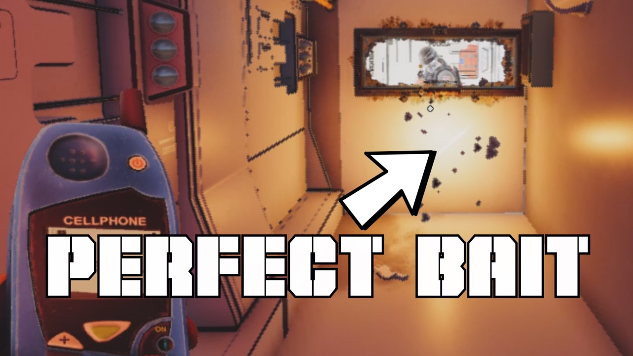 The Perfect Flank- Rainbow Six Siege Highlights