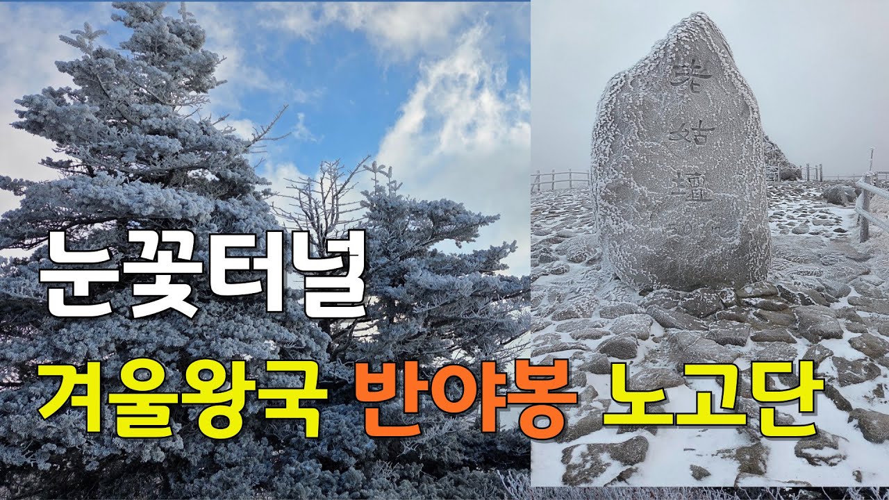 눈꽃 터널 겨울왕국 지리산 노고단 반야봉