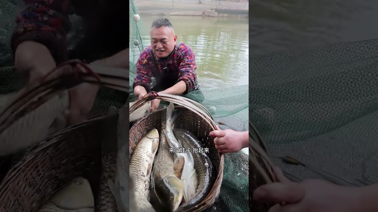 过年把鱼塘清塘了，今天#捕鱼收获满满，祝大家新年快乐，年年有余！#抖音乡村生活家 #乡村守护人 #新农人计划2023 @抖音小助手