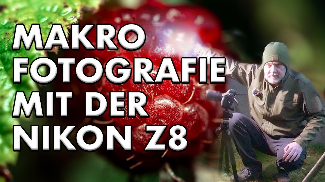 MAKROFOTOGRAFIE mit der NIKON Z8 | REGEN bringt spannende Makromotive