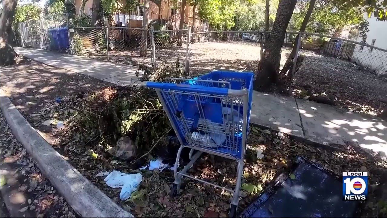 Miami commissioner aims to fix shopping cart problem