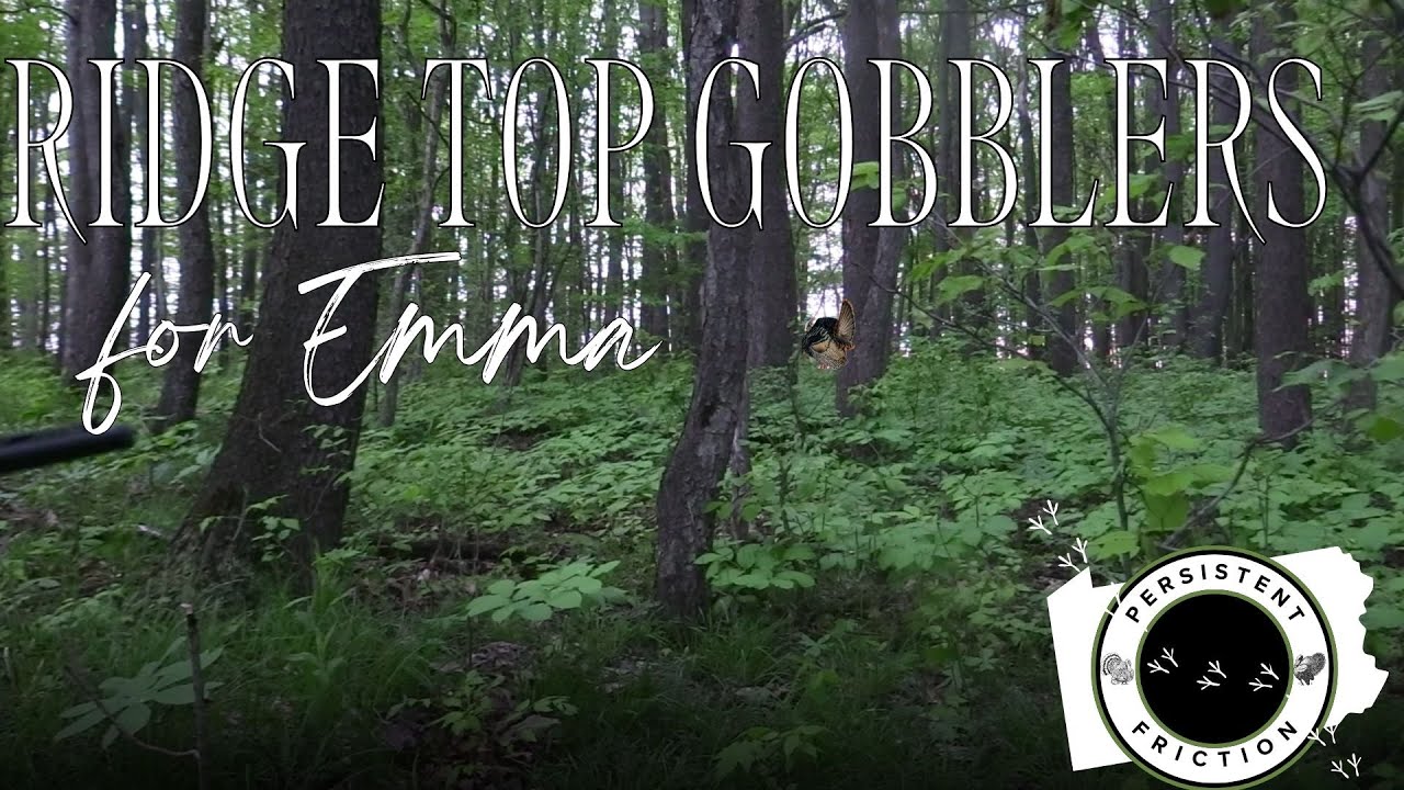 CALLING IN PA GOBBLERS OVER HARDWOOD RIDGES| EMMA'S TURN AGAIN
