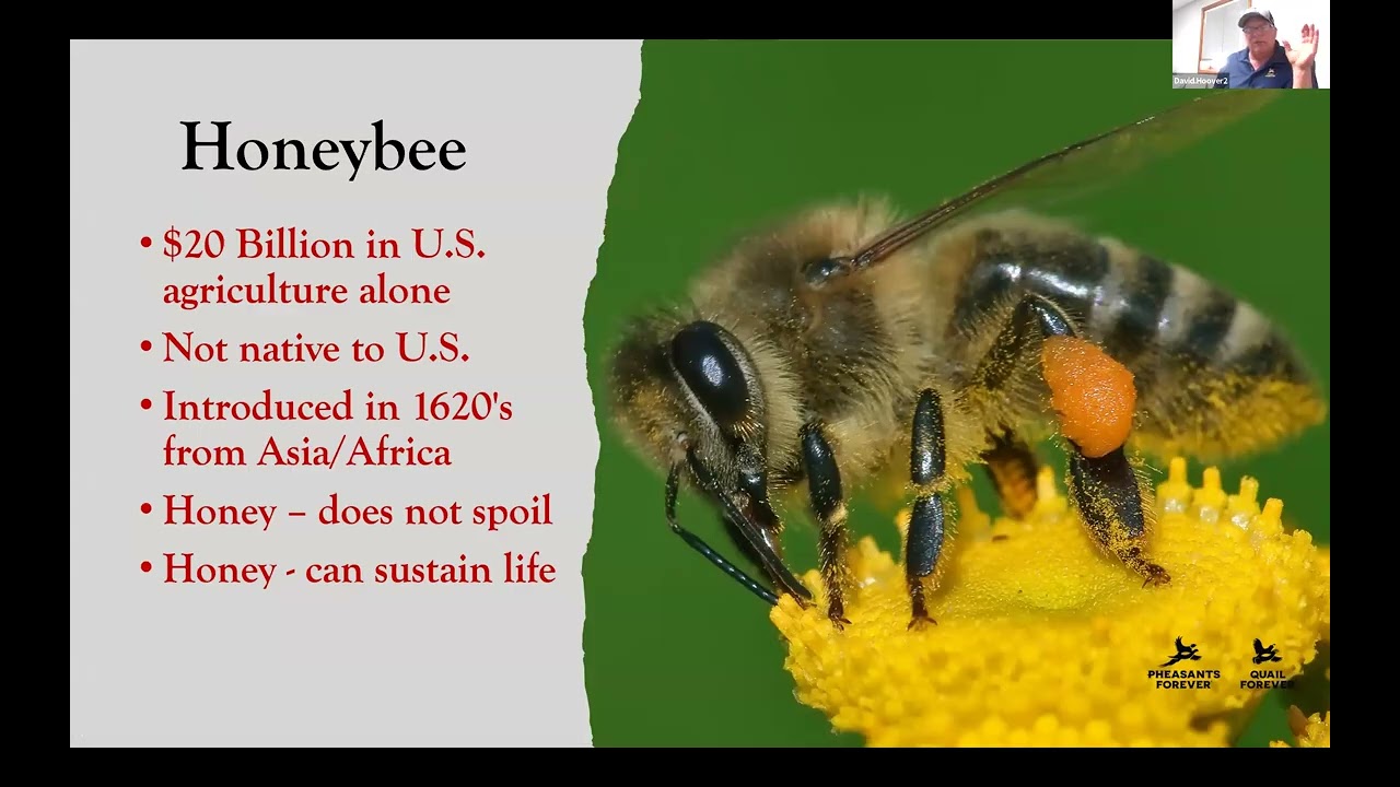 Pollinator and Monarch Habitat Training Webinar