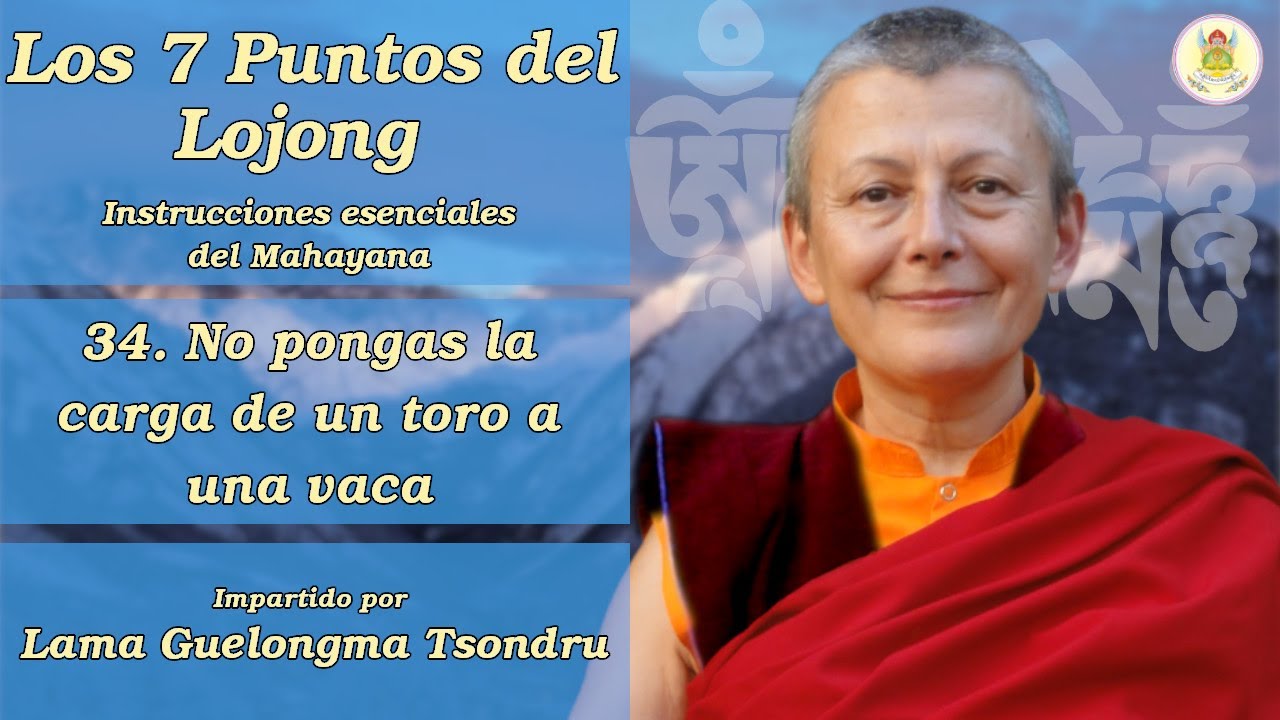 Los Siete Puntos del Lojong - (34) No pongas la carga de un toro en una vaca - Lama Tsondru