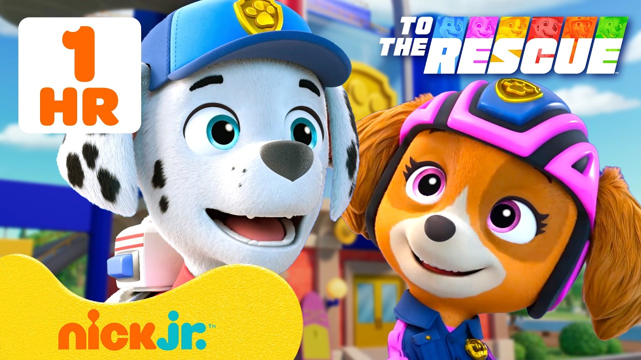 Paw Patrol - La Squadra dei Cuccioli | PAW Patrol in Azione: Missioni di Salvataggio #3 | Nick Jr.