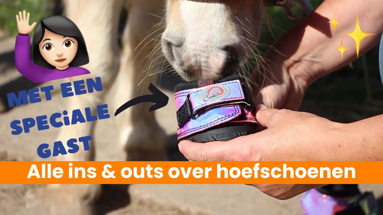 Leer alles over de hoefschoenen van F.R.A Cavallo | EPPLEJECK