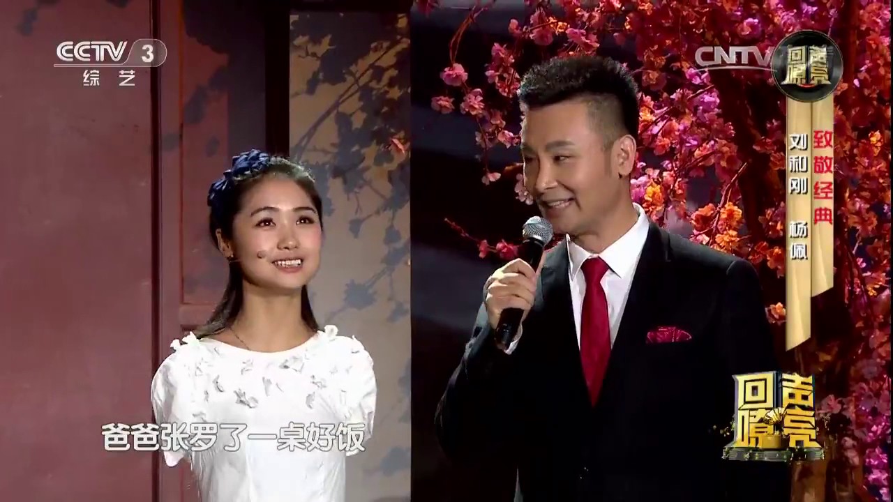 20170127 回声嘹亮 演唱：刘和刚 杨佩