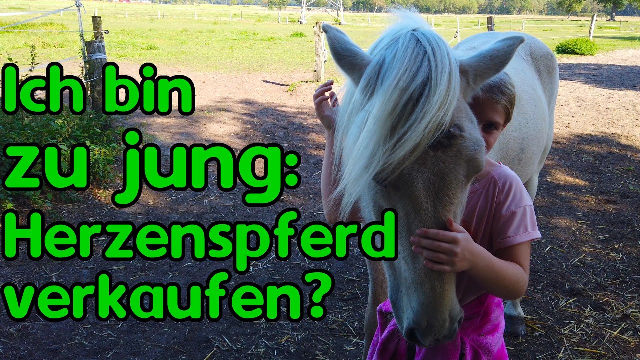 Zu jung fürs eigene Pferd: Tschüss Júni, machs gut