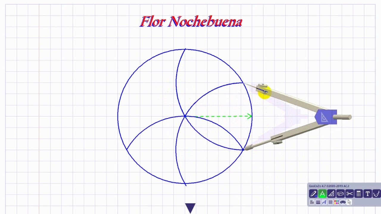 FLOR NOCHEBUENA Professore Geraido