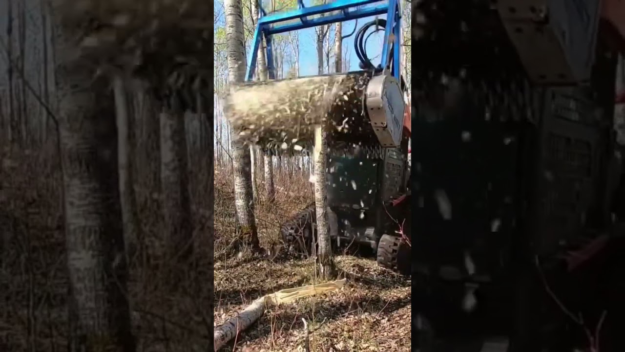 Drum mulcher shreds tree.  #mulcher #skidsteerattachments