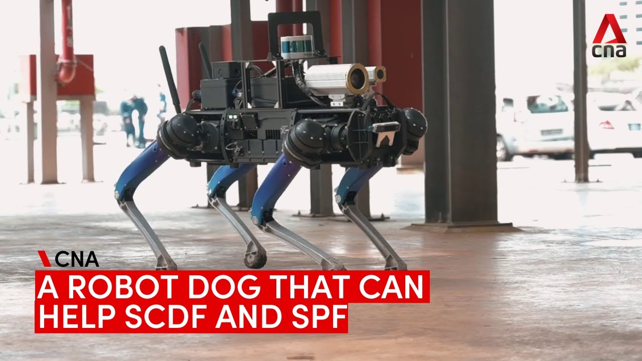The robot dog that can sniff out hazmat leaks and help first responders