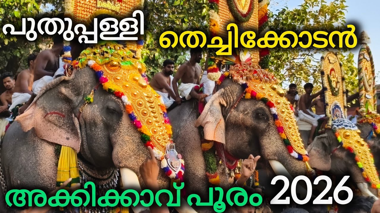 Akkikkavu pooram 2026 രാമൻ അടക്കം നിരവധി ഗജവീരന്മാർ വന്നിറങ്ങിയ പൂരം💥ആക്കിക്കാവ് പൂരം 2026