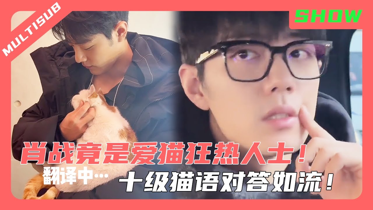 肖战原来是爱猫狂热人士！竟能和猫咪交流！十级猫语对答如流💞！#肖战 #xiaozhan #王一博 #wangyibo #xiaozhanwangyibo