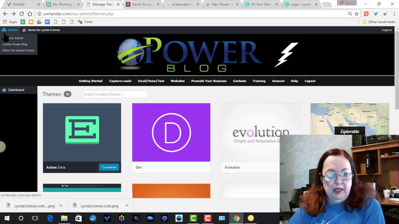 Power Lead System  Customizing a New Power Blog