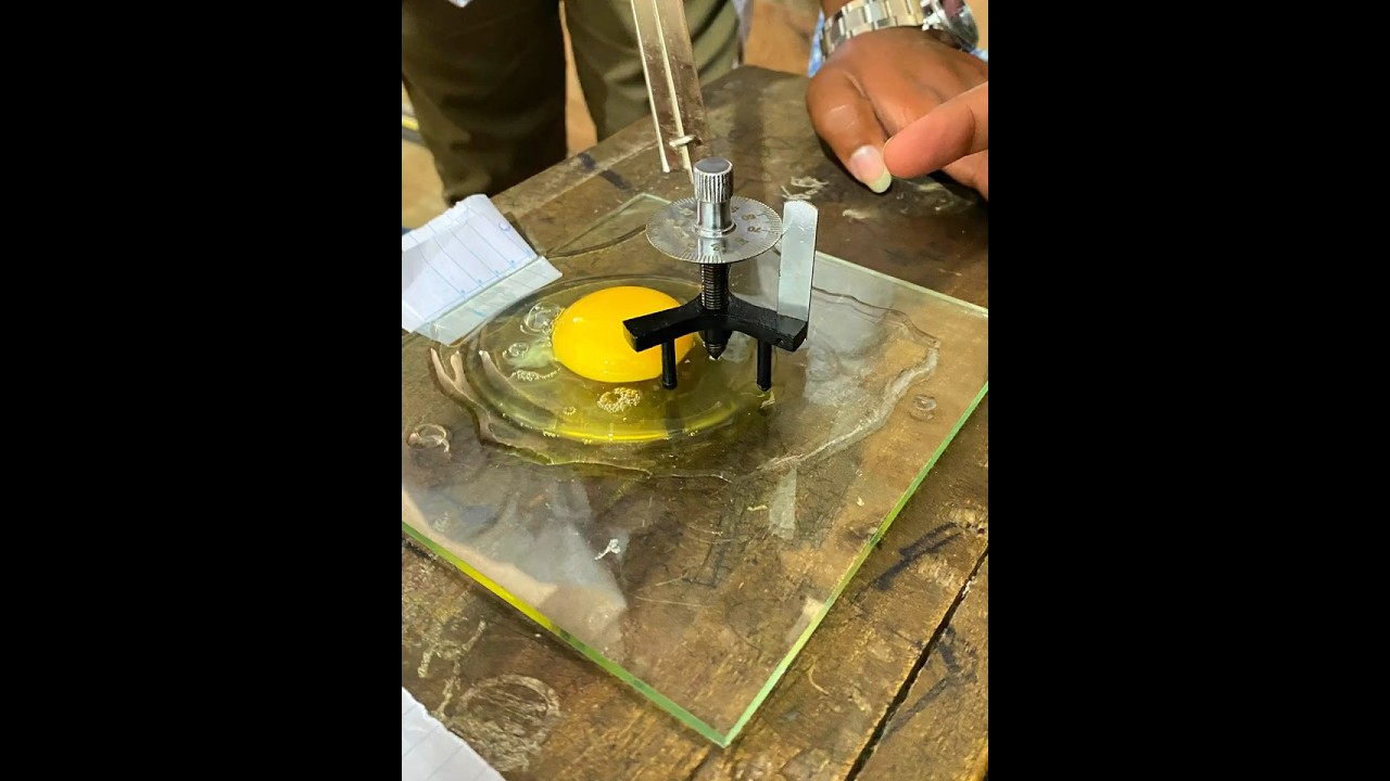 BST practical 🧫🧪👨&zwj;🔬 | 2024 | Come and enjoy the Inspire Of Bio System Technology🌎🍃
