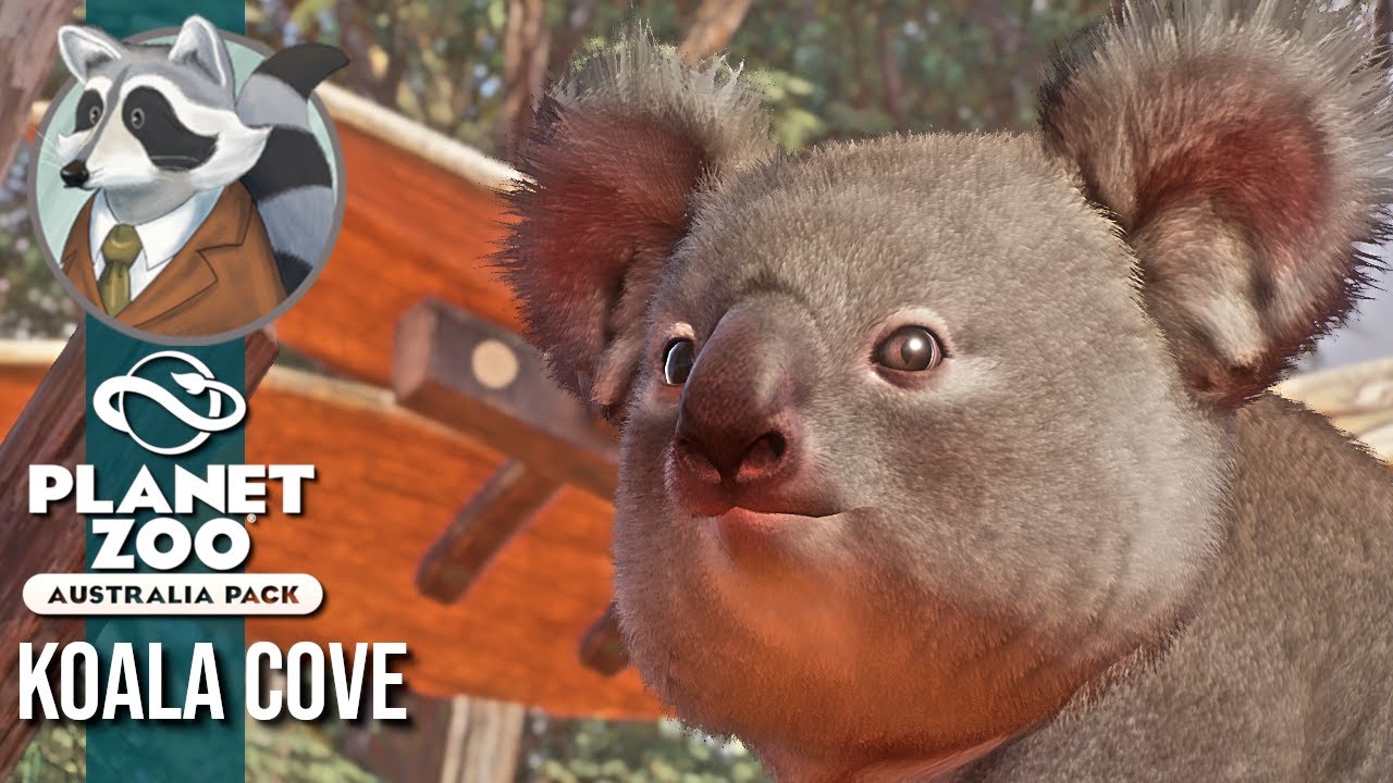 Koala Cove | Australian DLC | Planet Zoo