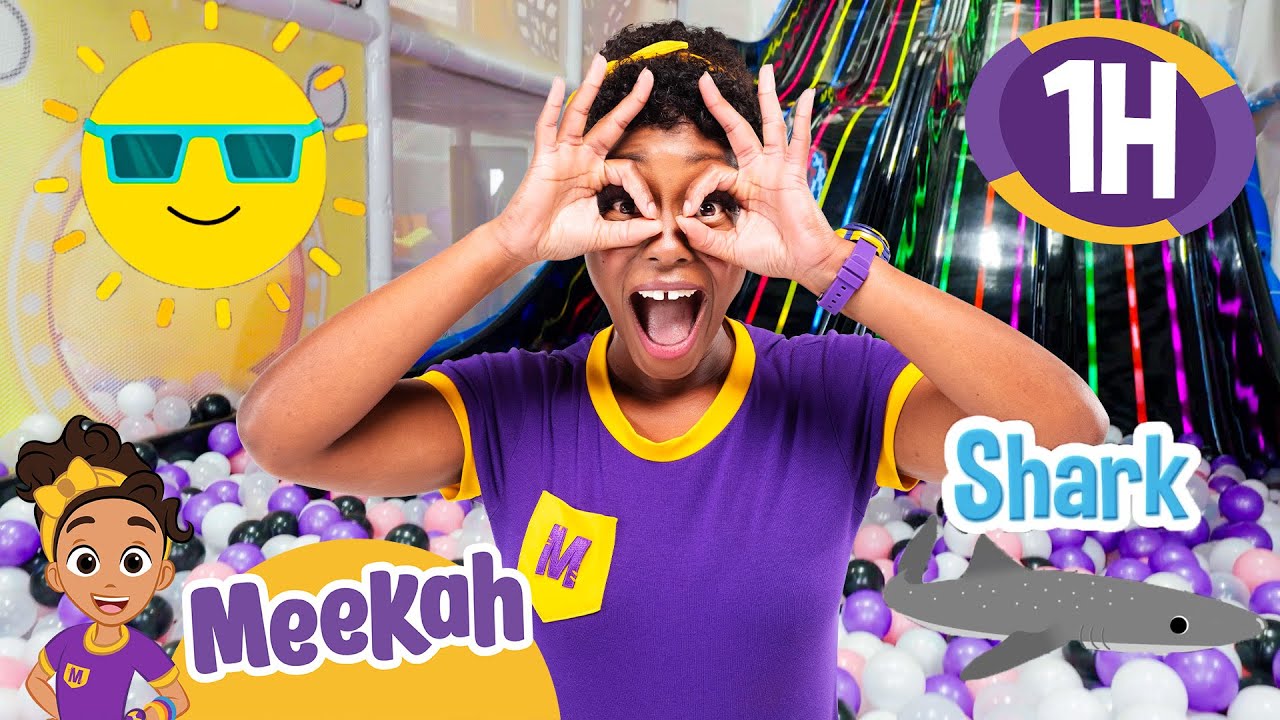Meekah's Toy Adventure🎉🧸 | Meekah| Celebrating Diversity