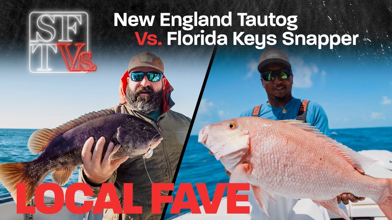Local Fave: Mutton Snapper vs. Tautog