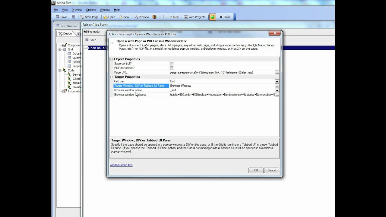 Opening a A5W Page in a New Window