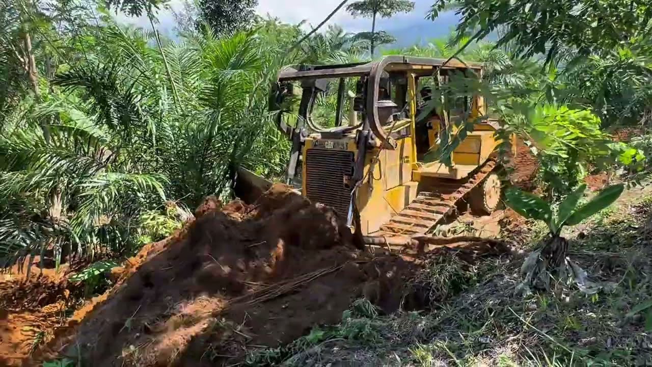 Creating New Roads, CAT D6R XL Bulldozers Work in America's Forests !