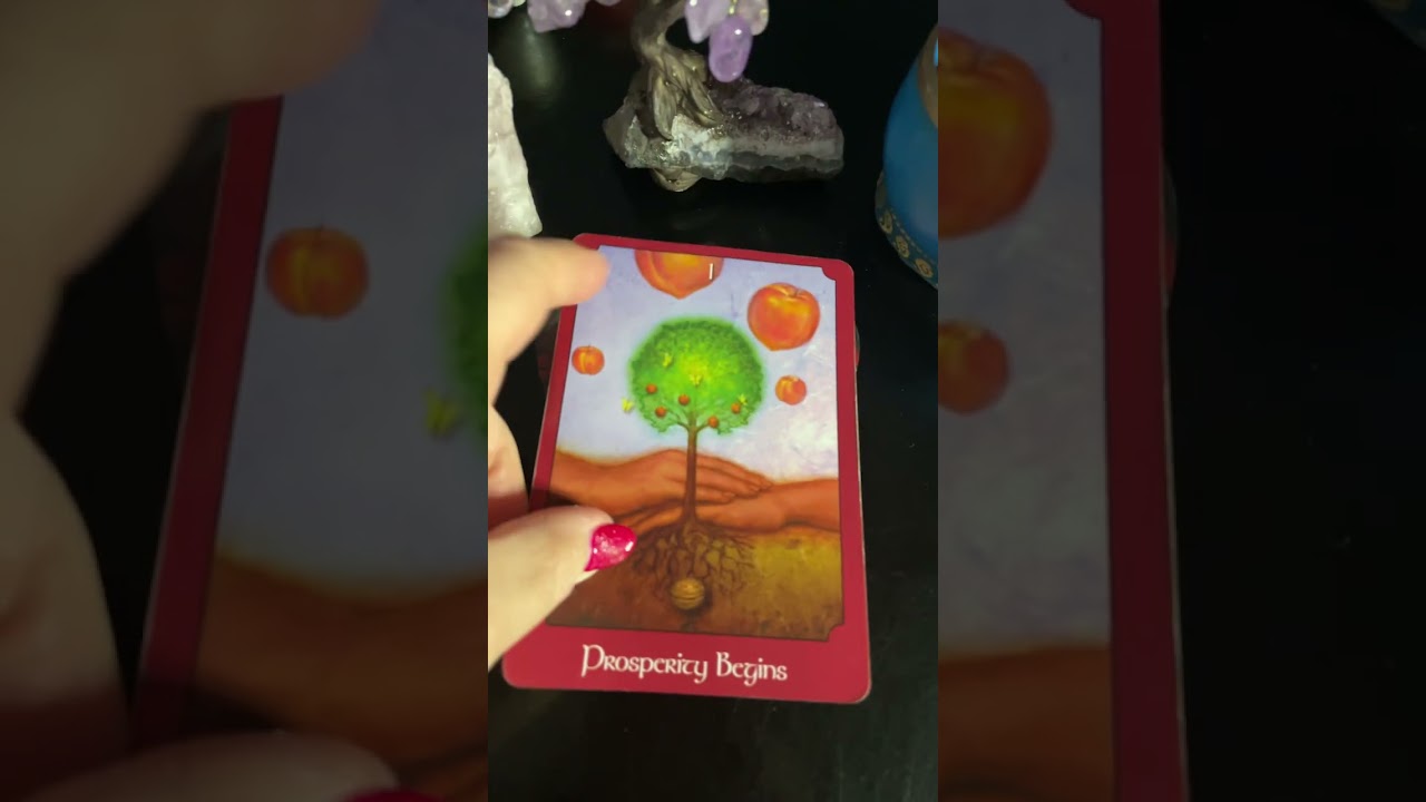 YOUR SPIRIT MESSAGES 💌for TODAY! MEETING THE ONE! 🥰💕💗RECONCILIATION 🦋PROSPERITY! The TRUTH! 🌞