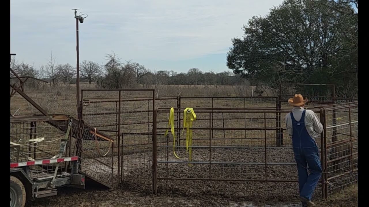 Playing in the mud. With another stubborn Boar. Roped this one a lot quicker.