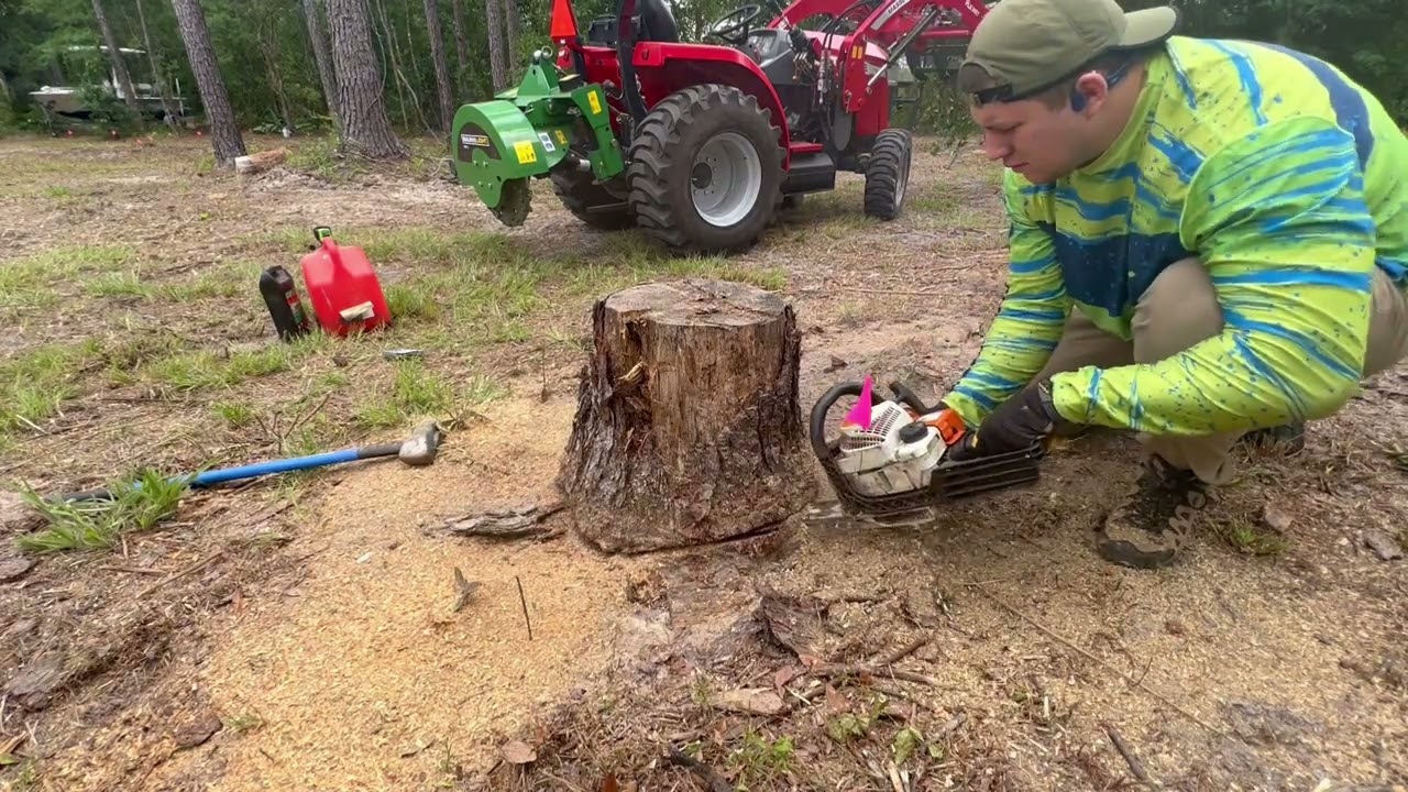 Stump Grinding 20+ Stumps! Baumalight 1P24 + Massey Ferguson 1825e = No Stumps.