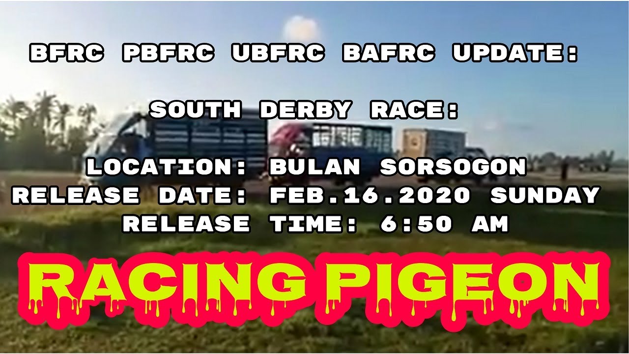 BFRC PBFRC UBFRC BAFRC  RACE:LOCATION: BULAN SORSOGON RELEASE DATE: FEB.16.2020