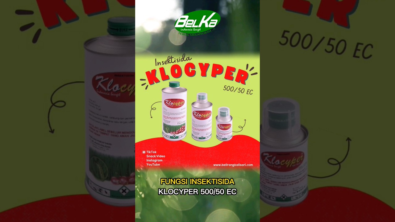 Insektisida Klocyper 500/50 EC untuk mengendalikan hama pada tanaman. #shorts #insektisida #klocyper