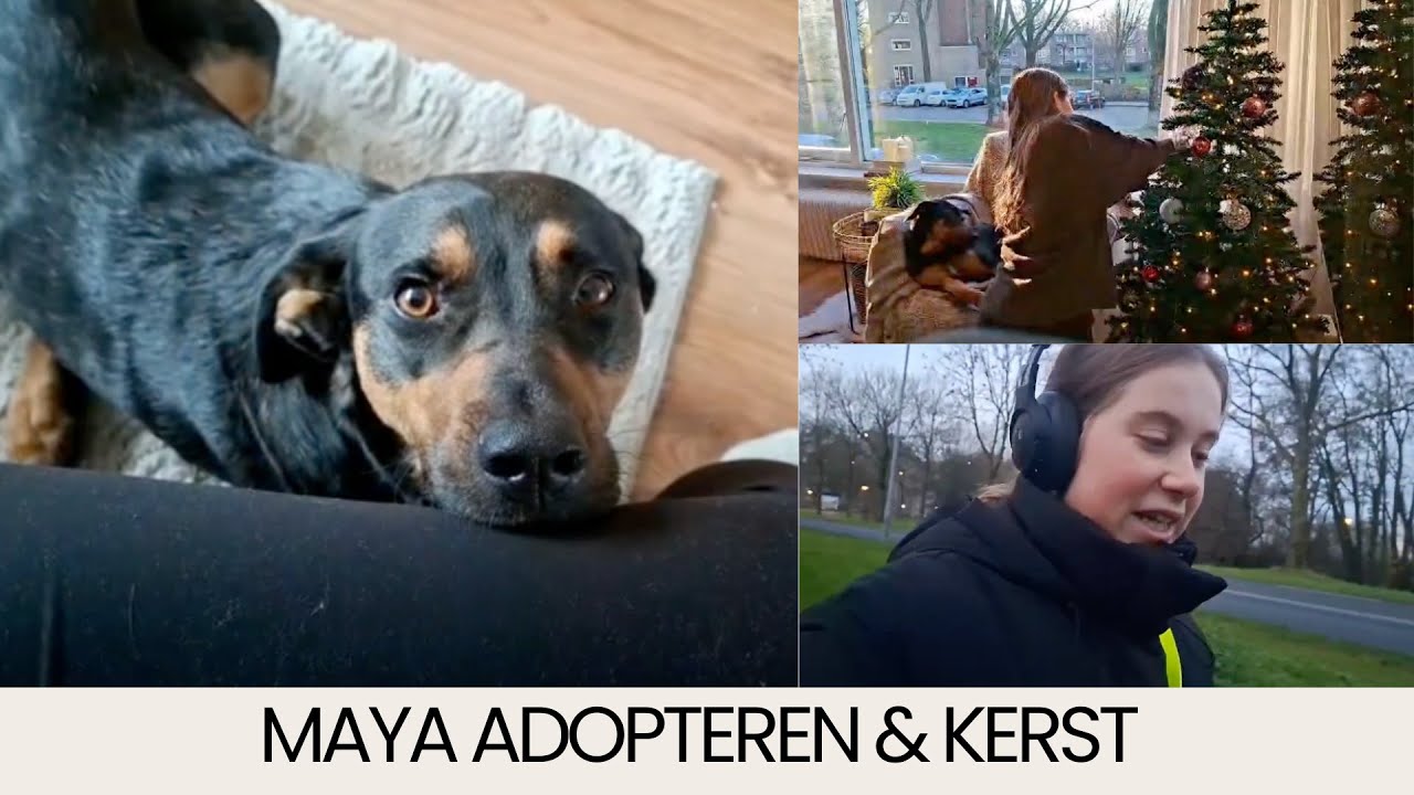 MAYA ADOPTEREN & KERST