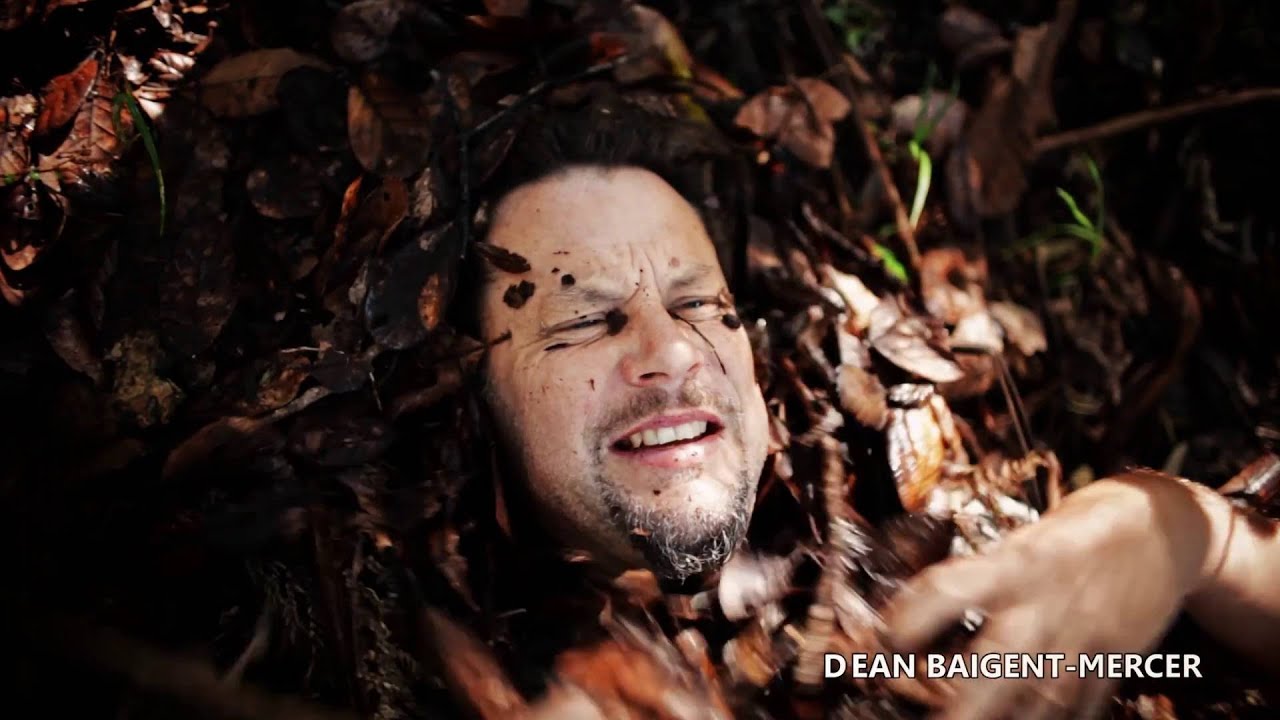 The Magic of Leaf Litter