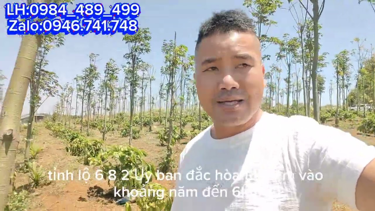 (lô 244) đất chưa sổ khoảng 8 sào Đăk Hòa 