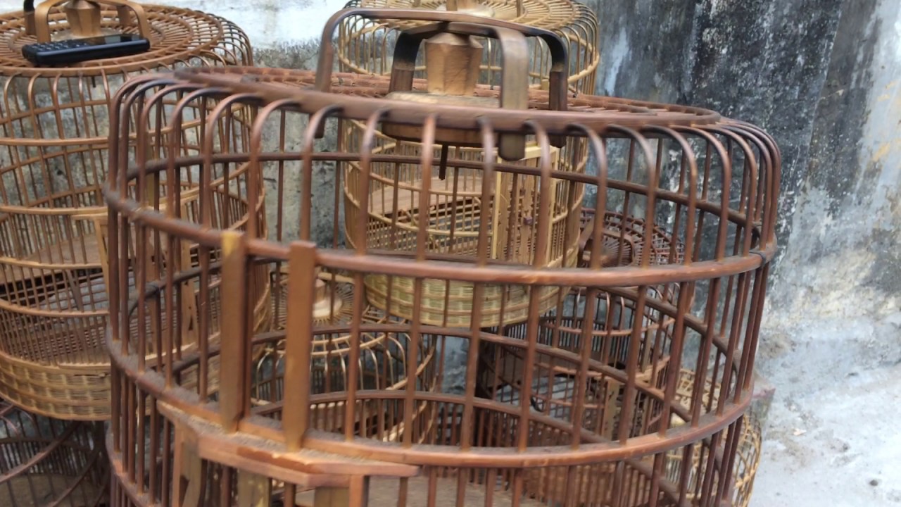 b&aacute;n lồng chim họa mi thổ Hotline 0944114410 ( Chim Cảnh Đất Việt )