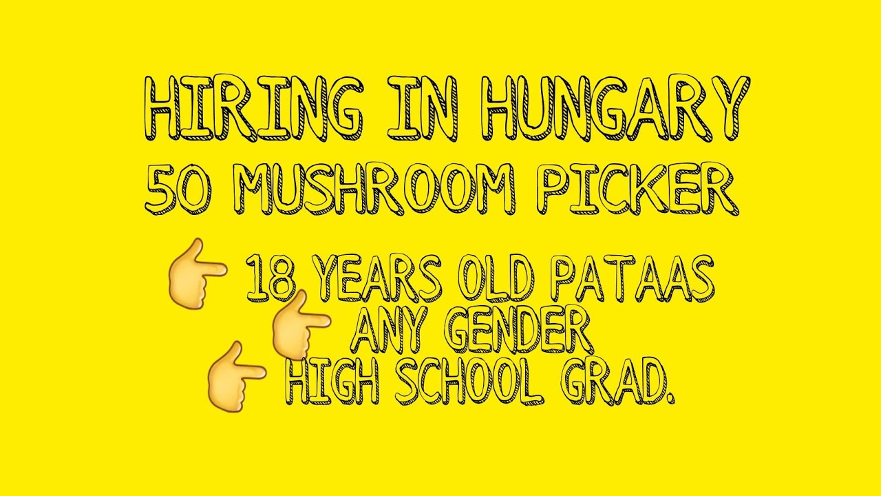 50 MUSHROOM PICKER  NEEDED IN HUNGARY | HIGH SCHOOL | ANY GENDER BY MOMSIE JAM TRABAHONG ABROAD