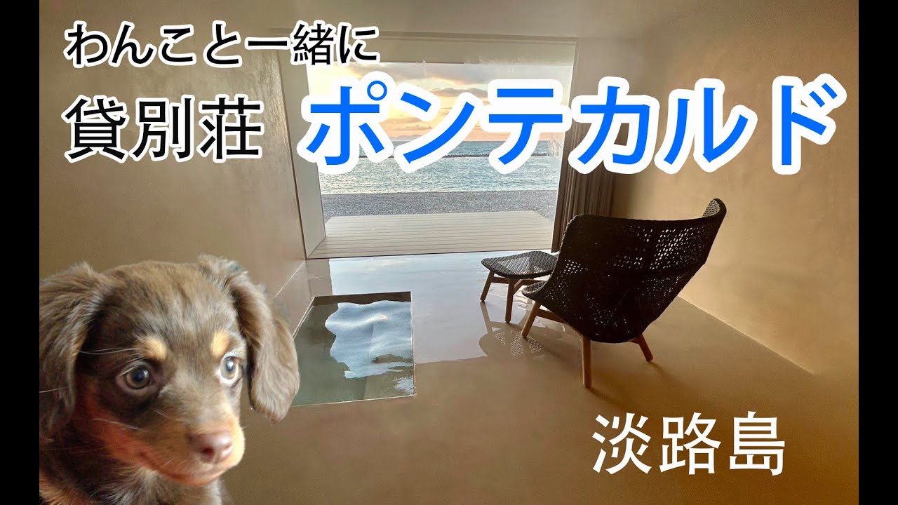 淡路島の一組限定の貸し切り別荘のご紹介。愛犬と美しい夕日。ポンテカルド。