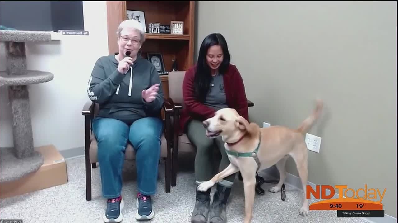 ND Today: Central Dakota Humane Society