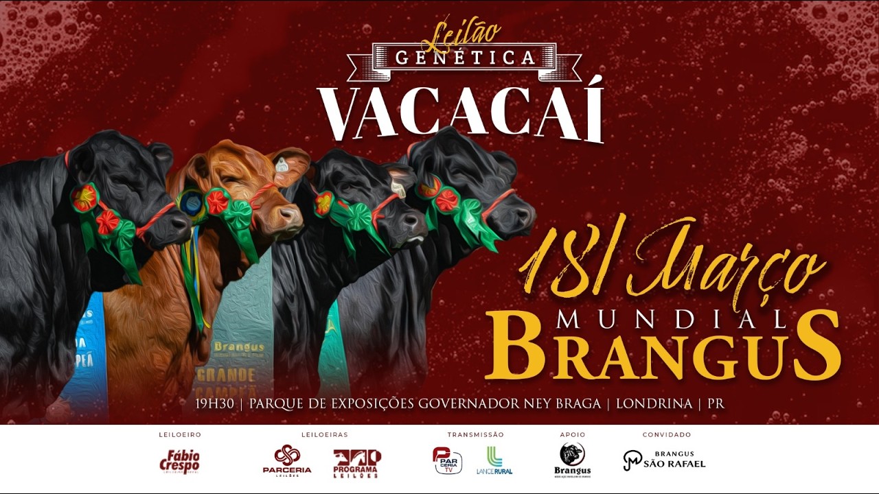 LEILÃO GENÉTICA VACACAÍ MUNDIAL BRANGUS