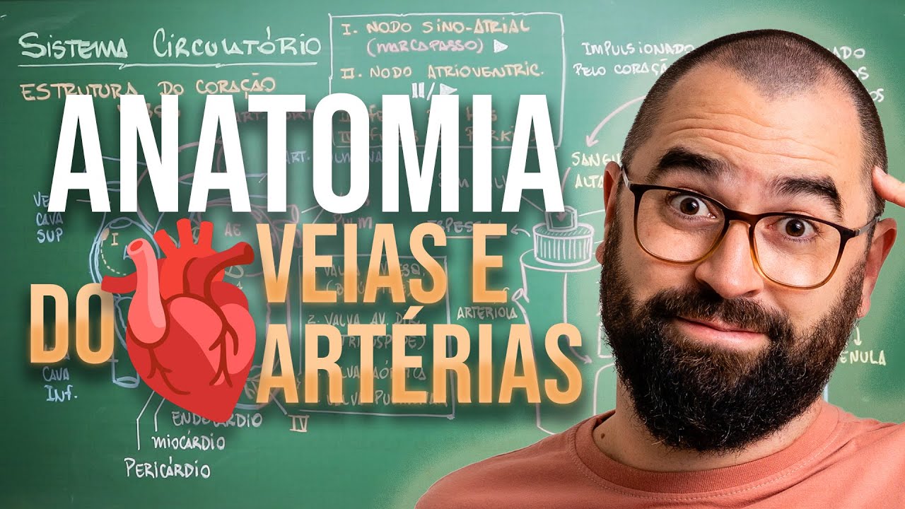 Anatomia do coração, veias e artérias - Aula 25 - Módulo 7: Fisiologia Humana