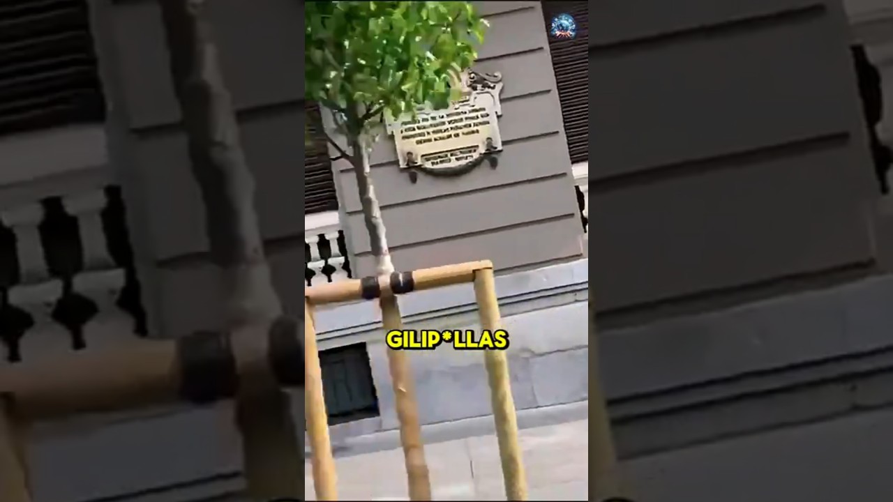 🔺 Un venezolano increpa a varios comunistas en una concentración en Madrid 