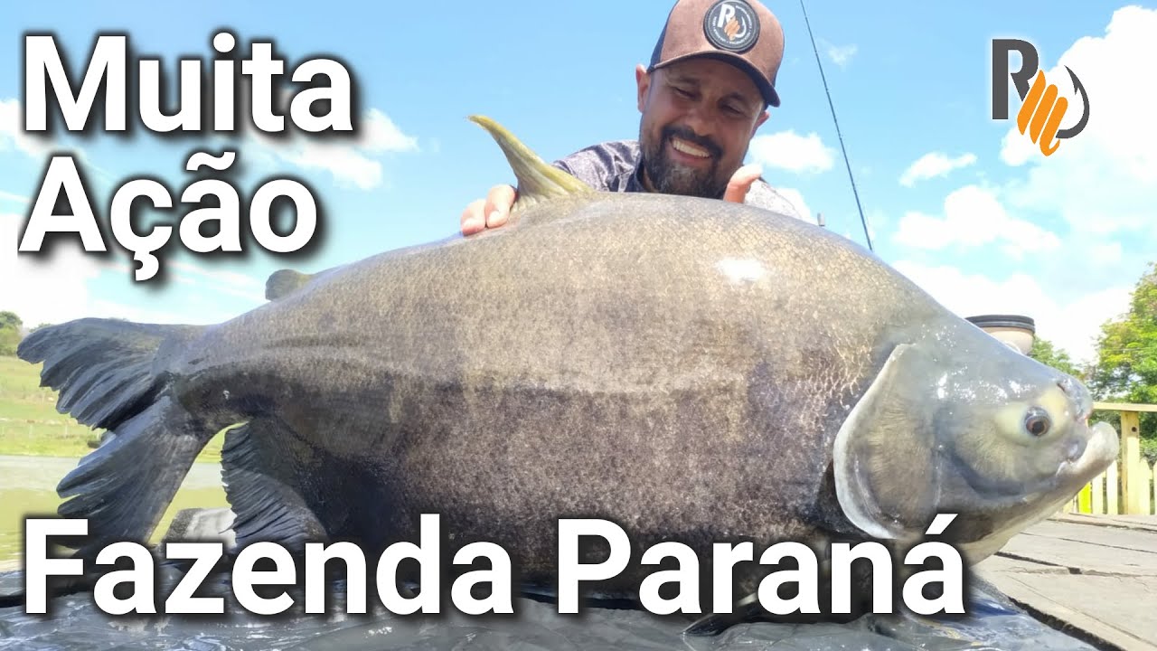 Muita Ação na Fazenda Paraná!!!! - Pescando com Minhoca