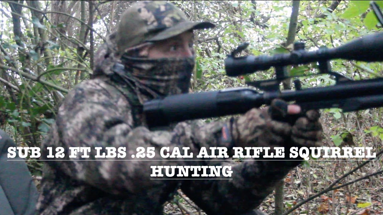 Squirrel hunting with air rifle. Gunpower Stealth.25 sub 12ft lbs  catch and cook.