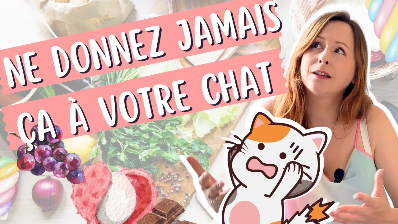 10 aliments toxiques pour les chats