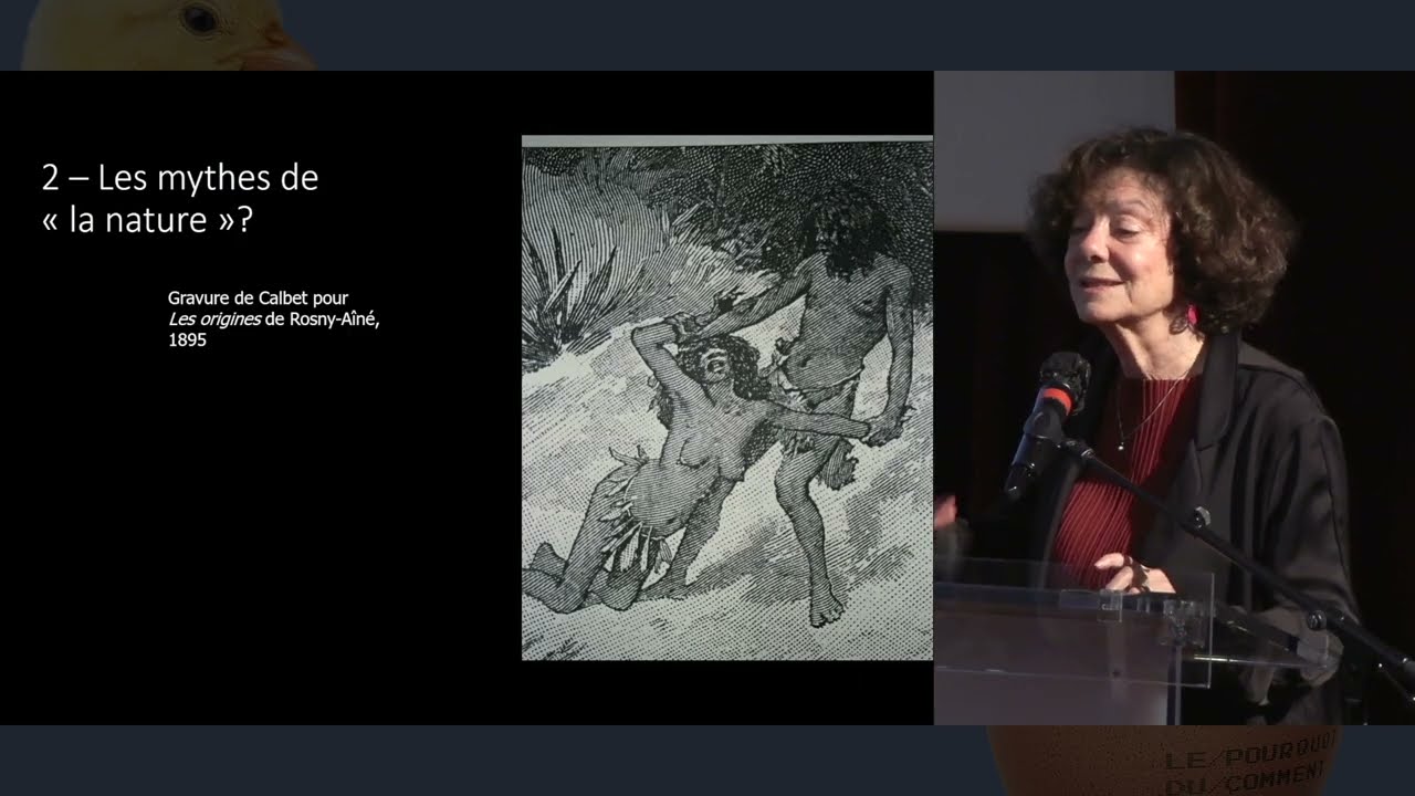 Aux origines de la domination masculine - Claudine Cohen