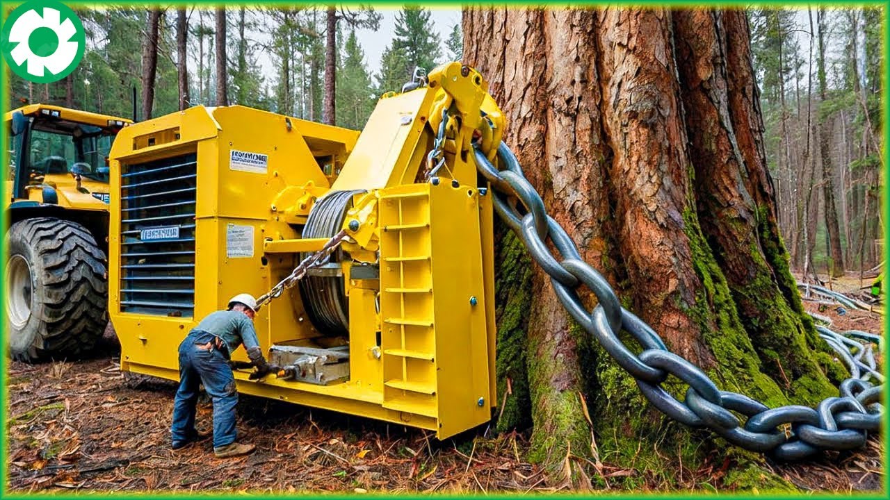 Most Big Chainsaw Cutting Tree Machines | Biggest Heavy Equipment Machines