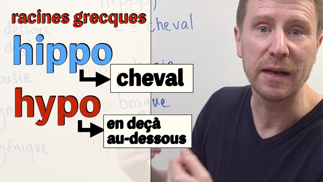 hIPPo ou  hYPo   leçon orthographe français facile