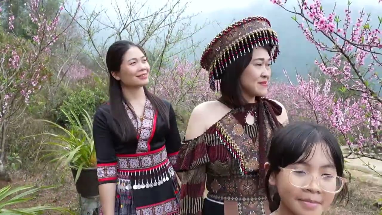 HOA ĐÀO BUNG NỞ Ở BẢN DU LỊCH CỘNG ĐỒNG SIN SUỐI HỒ | tutomtute